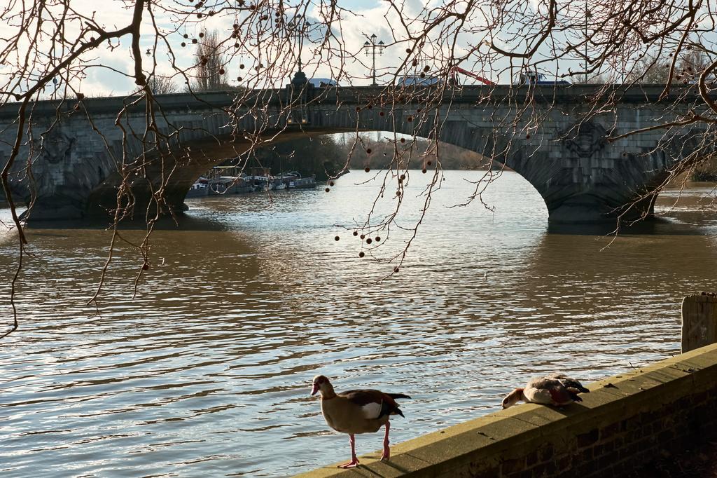 Apple Apartments Kew Bridge 외부 사진